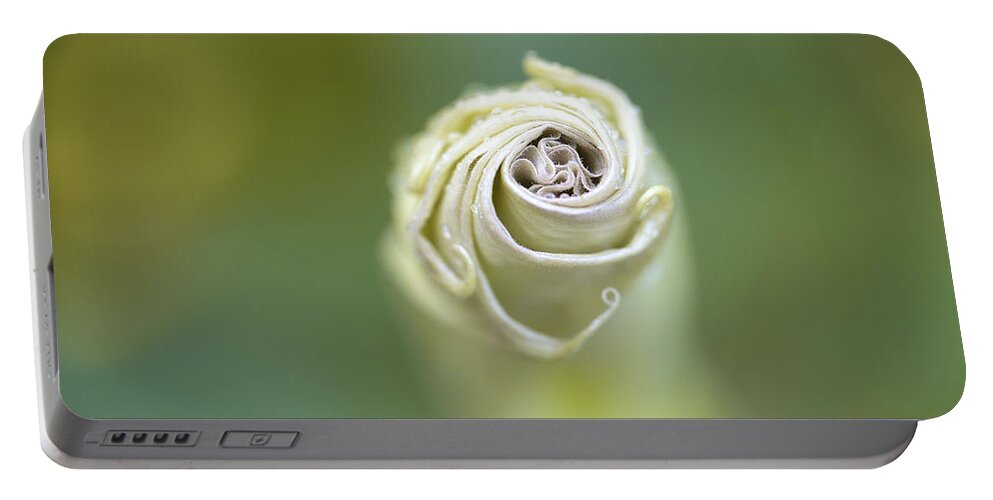 Flower Portable Battery Charger featuring the photograph Spiral by Nailia Schwarz