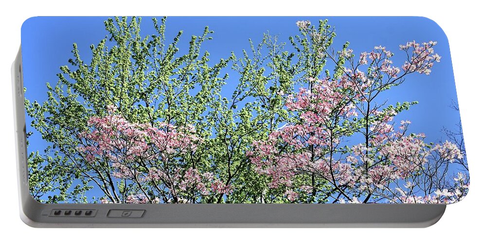 Flowers Portable Battery Charger featuring the photograph Springtime in Louisville #2 by Merle Grenz