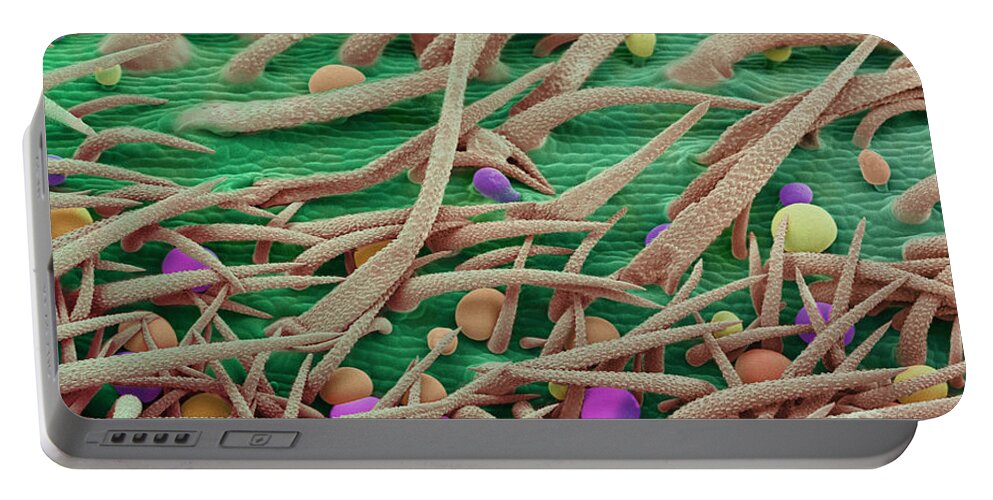 Biological Portable Battery Charger featuring the photograph Stem of Marijuana Plant, SEM #2 by Ted Kinsman