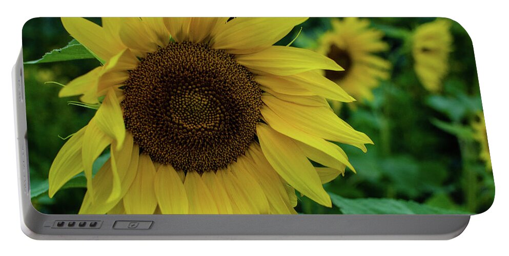 Winterpacht Portable Battery Charger featuring the photograph Sunflower Fields #2 by Miguel Winterpacht
