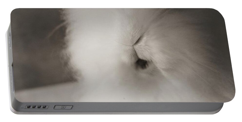 Cutie Cottonball Portable Battery Charger featuring the photograph Sweet Bunny... #2 by The Art Of Marilyn Ridoutt-Greene