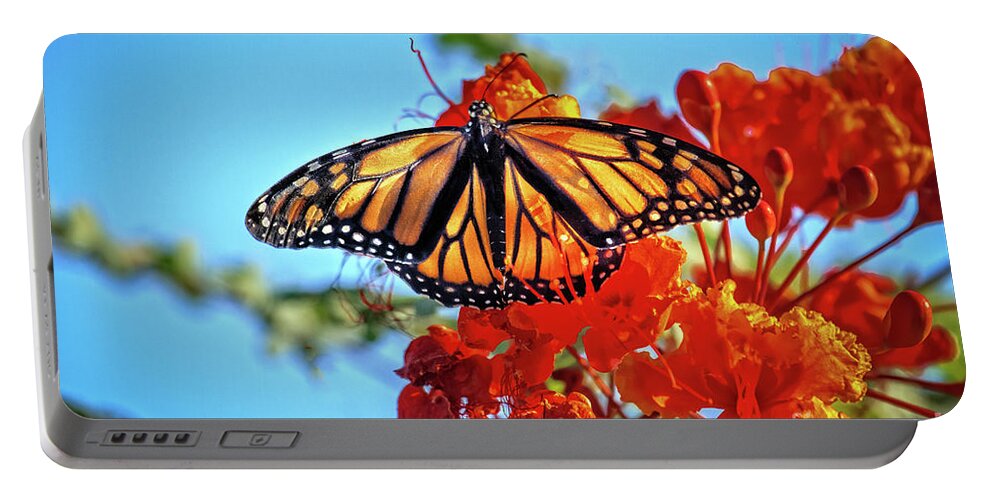 Orange Portable Battery Charger featuring the photograph The Resting Monarch by Robert Bales