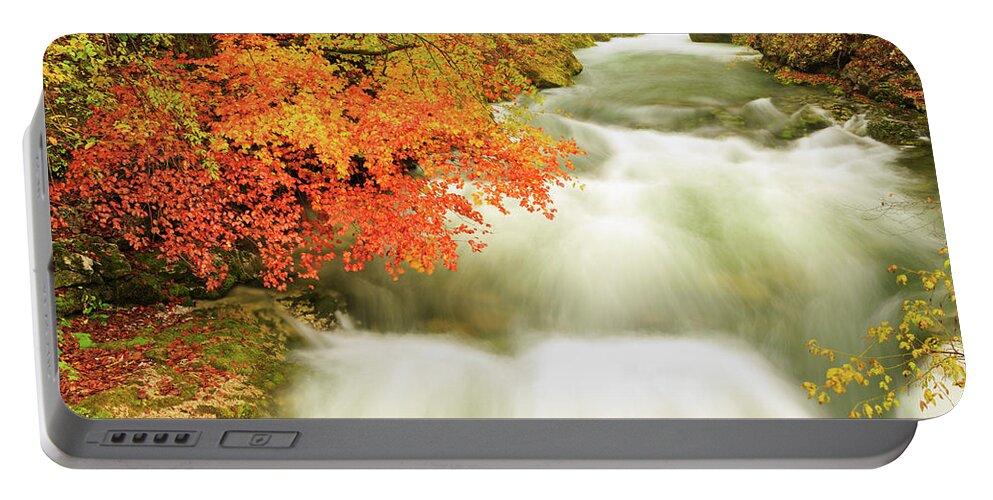 Soteska Portable Battery Charger featuring the photograph The Soteska Vintgar gorge in Autumn #2 by Ian Middleton