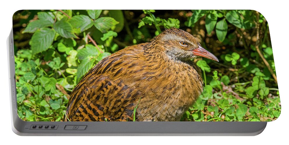 Weka Portable Battery Charger featuring the photograph Weka by Patricia Hofmeester
