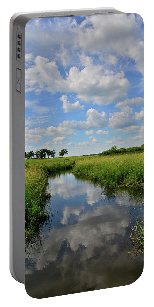 Glacial Park Portable Battery Charger featuring the photograph Wetland Reflection in Glacial Park #2 by Ray Mathis