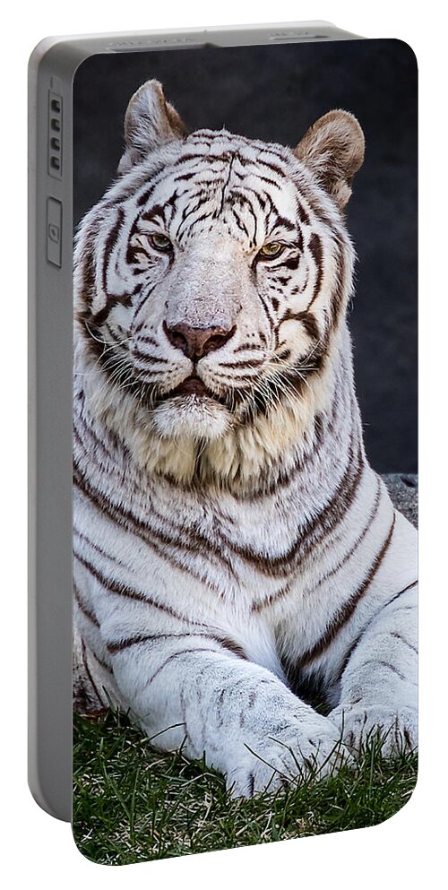 Big Cat Portable Battery Charger featuring the photograph White Tiger #1 by Ron Pate