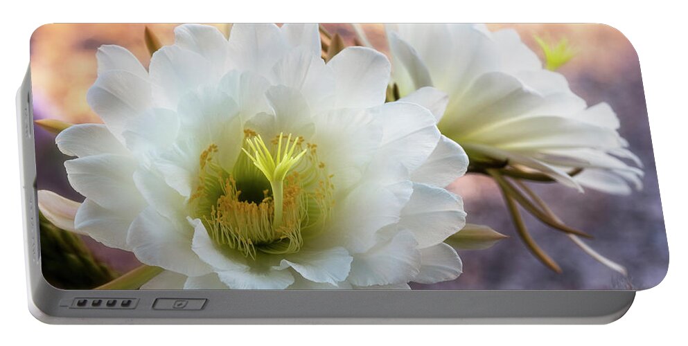 White Torch Cactus Portable Battery Charger featuring the photograph White Torch Cactus #1 by Saija Lehtonen