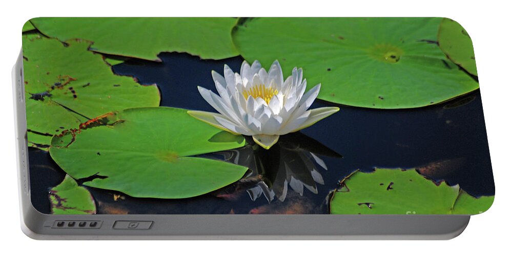 White Water Lily Portable Battery Charger featuring the photograph 2- White Water Lily by Joseph Keane