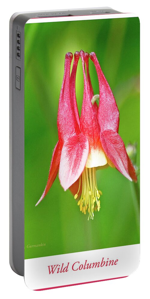 Wildflower Portable Battery Charger featuring the photograph Wild Columbine Flower #2 by A Macarthur Gurmankin