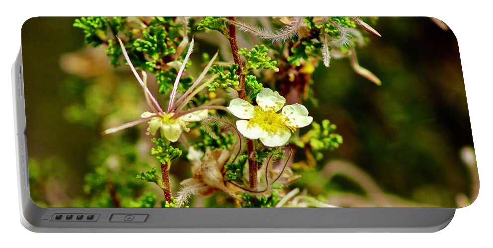 Wildflower Portable Battery Charger featuring the photograph Wild Flowers #2 by Craig Wood