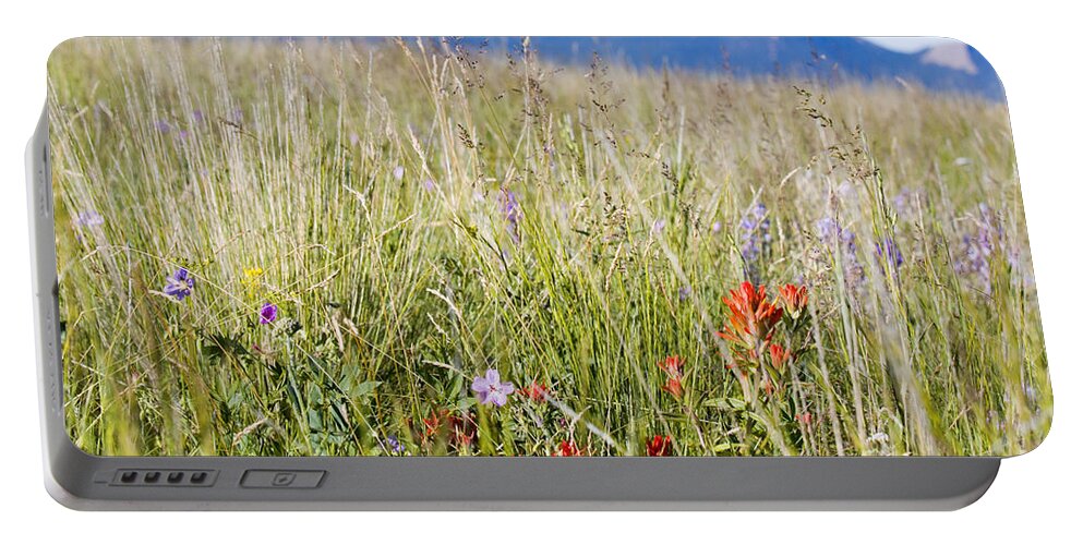 Wildflowers Portable Battery Charger featuring the photograph Wildflowers and Pikes Peak in the Pike National Forest #2 by Steven Krull