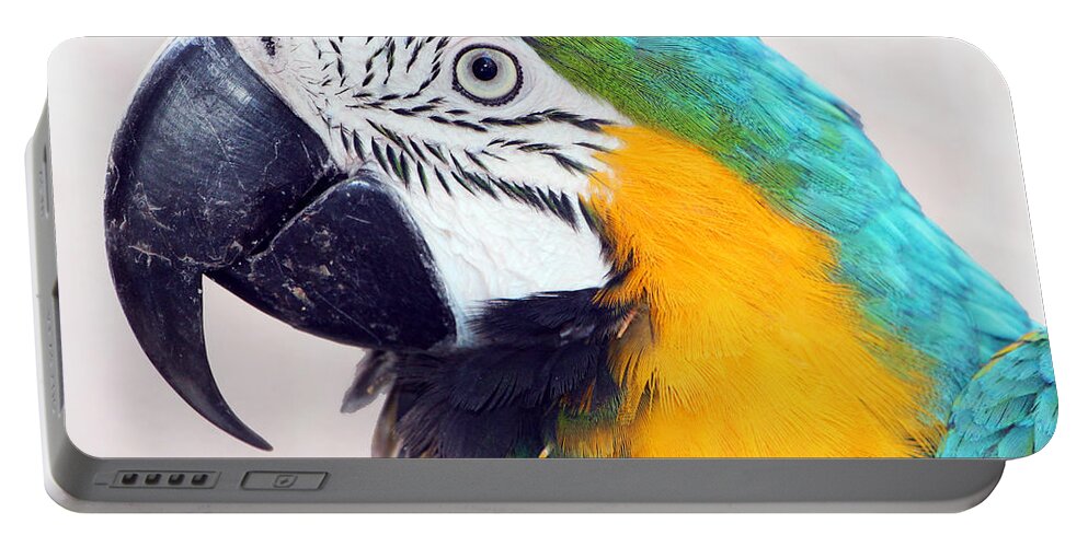 Parrot Portable Battery Charger featuring the photograph Yellow and Blue #1 by Munir Alawi