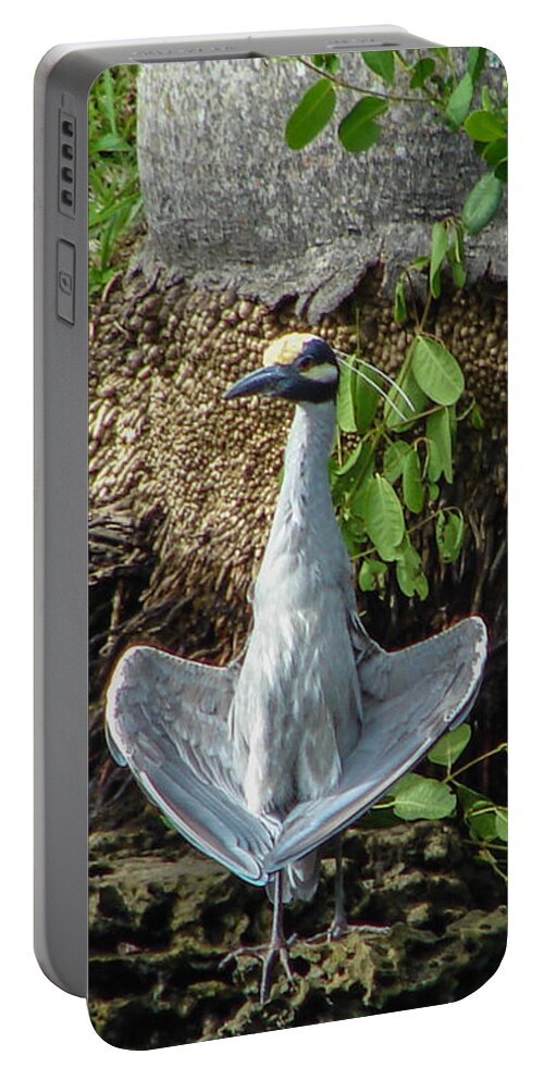 Bird Portable Battery Charger featuring the photograph Yellow-crowned Night Heron by Carl Moore