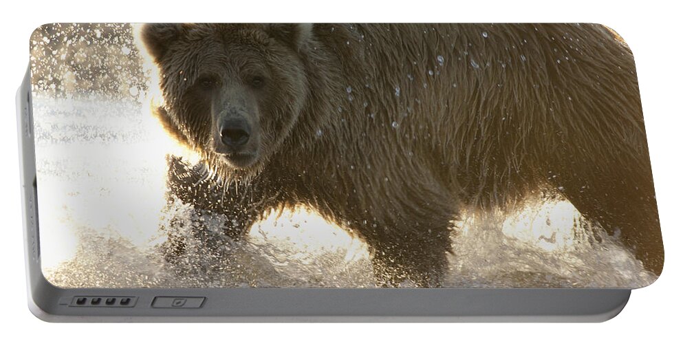 Mp Portable Battery Charger featuring the photograph Grizzly Bear Ursus Arctos Horribilis #20 by Matthias Breiter
