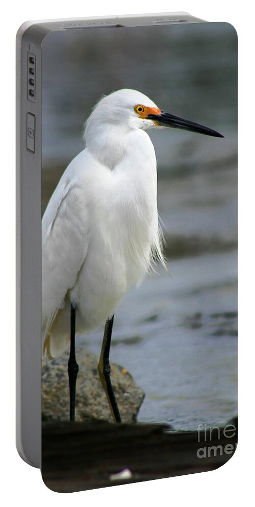  Portable Battery Charger featuring the photograph Egret #24 by Angela Rath