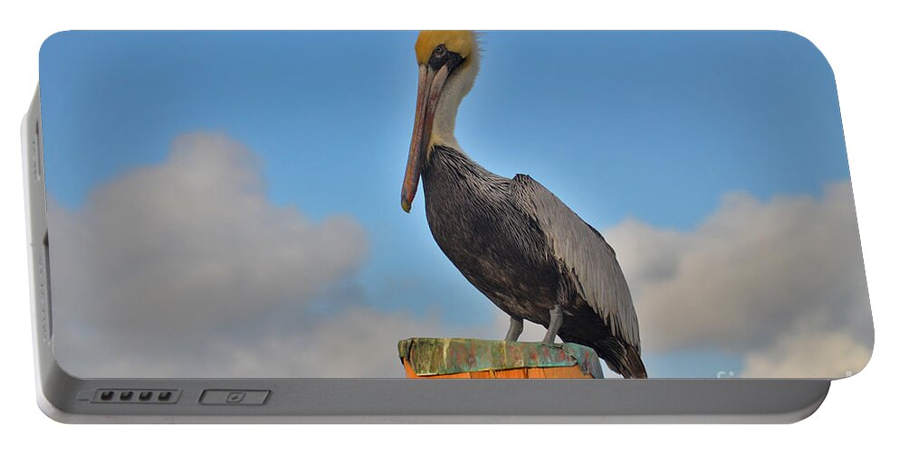 Pelican Portable Battery Charger featuring the photograph 24- Pelican by Joseph Keane