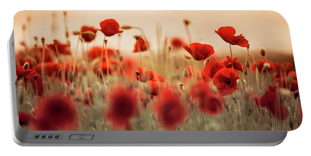 Poppy Portable Battery Charger featuring the photograph Summer Poppy Meadow #24 by Nailia Schwarz