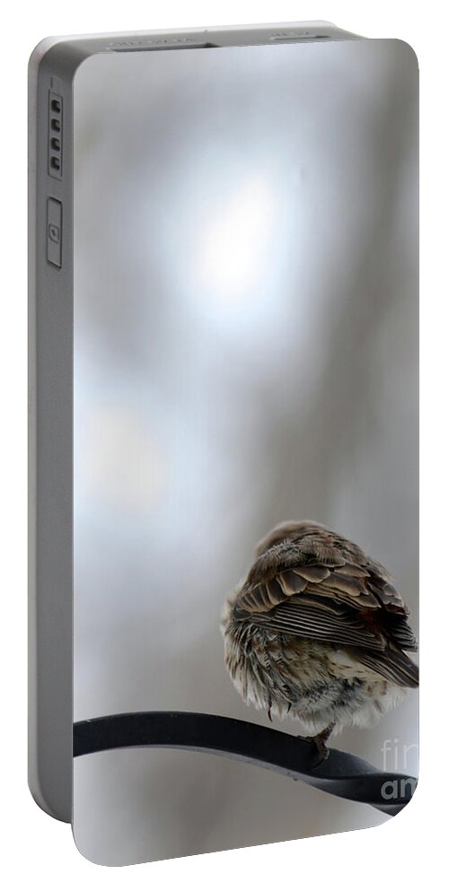 Bird Perched Portable Battery Charger featuring the photograph 25 Degrees by Cindy Schneider