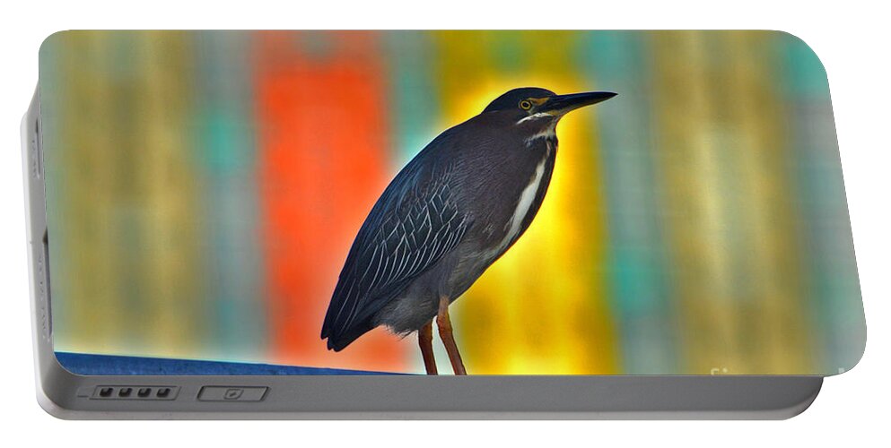 Green Heron Portable Battery Charger featuring the photograph 27- Green Heron by Joseph Keane