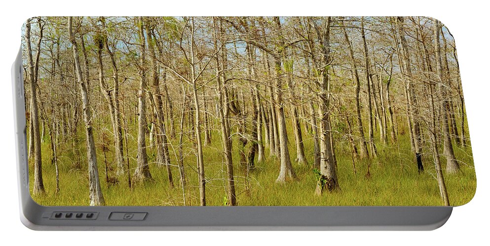 Big Cypress National Preserve Portable Battery Charger featuring the photograph Florida Everglades by Raul Rodriguez