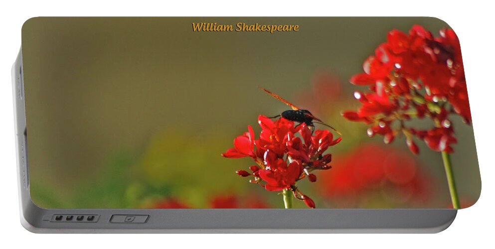 William Shakespeare Portable Battery Charger featuring the photograph 28- The more I give to thee by Joseph Keane