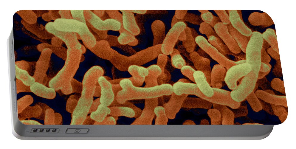 Bacteria Portable Battery Charger featuring the photograph Bifidobacterium Pullorum #3 by Scimat