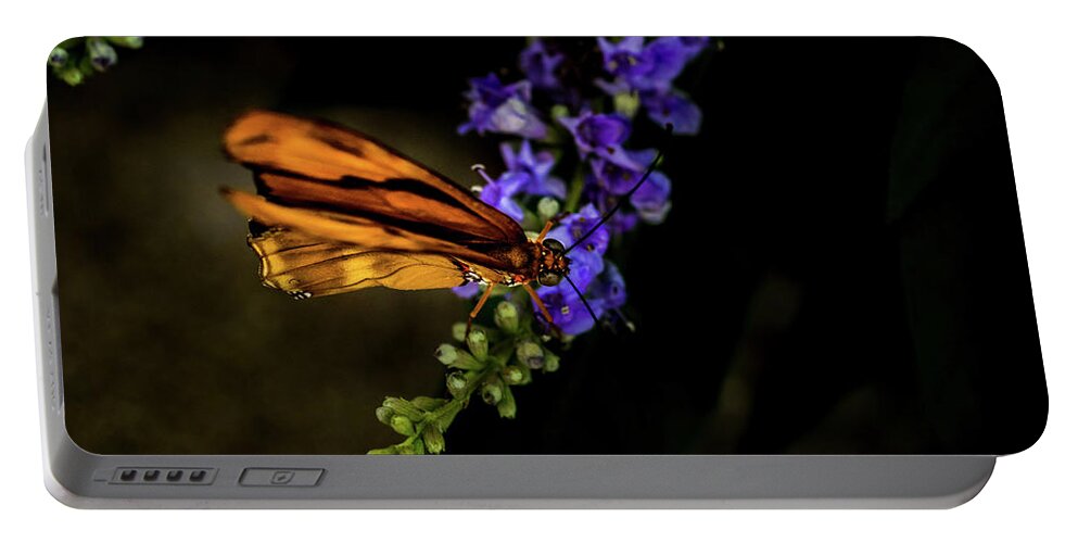 Jay Stockhaus Portable Battery Charger featuring the photograph Butterfly #3 by Jay Stockhaus