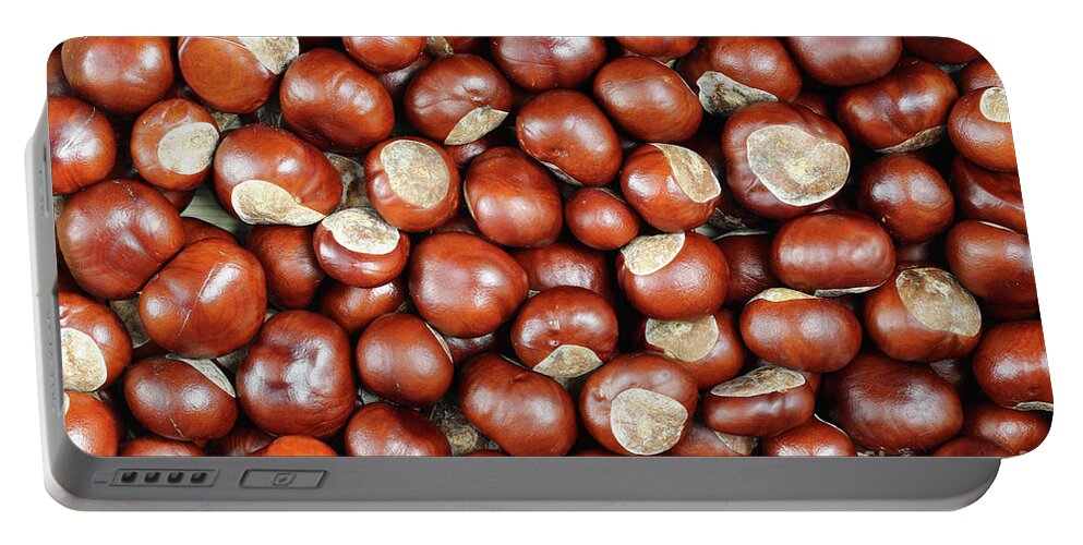 Conker Portable Battery Charger featuring the photograph Conkers by Michal Boubin