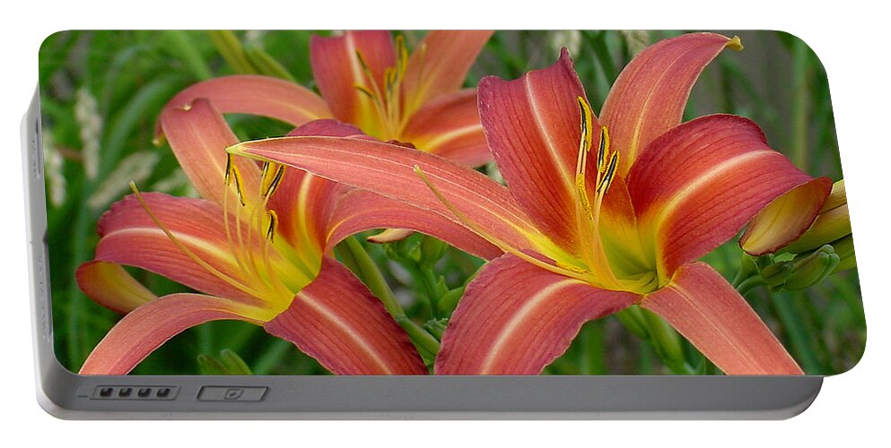 Orange Portable Battery Charger featuring the photograph 3 Daylilies by Shirley Heyn