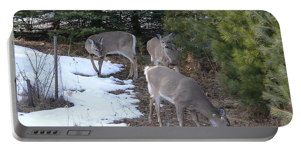 Deer Portable Battery Charger featuring the photograph Deer #3 by Jackie Russo