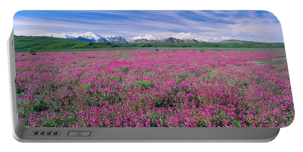 Bloom Portable Battery Charger featuring the photograph Denali National Park #3 by John Hyde - Printscapes