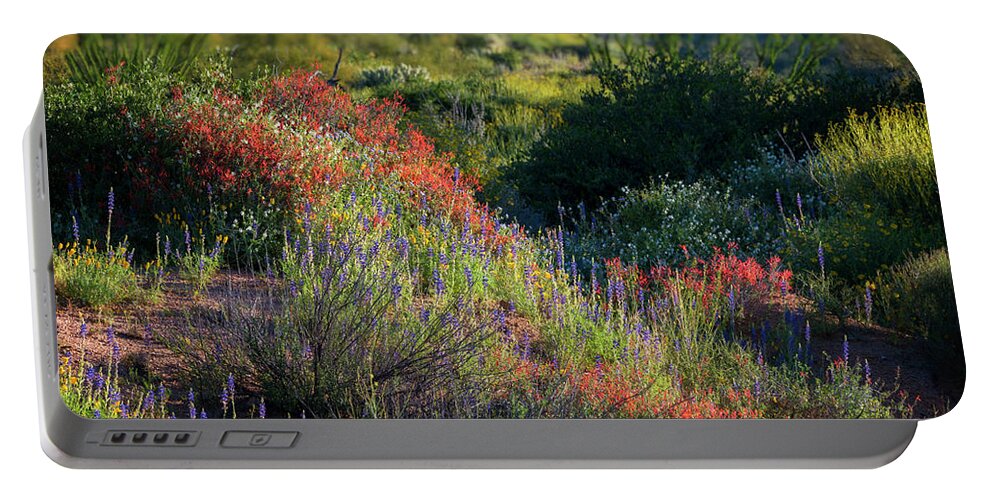 Arizona Portable Battery Charger featuring the photograph Desert Wildflowers #3 by Saija Lehtonen