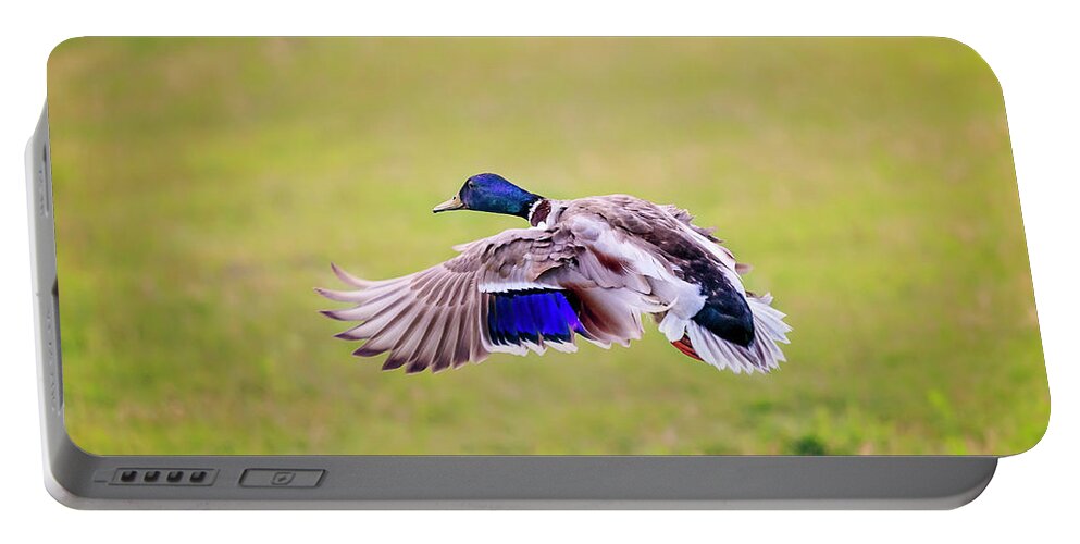 Animal Portable Battery Charger featuring the photograph Duck-drake #3 by Peter Lakomy