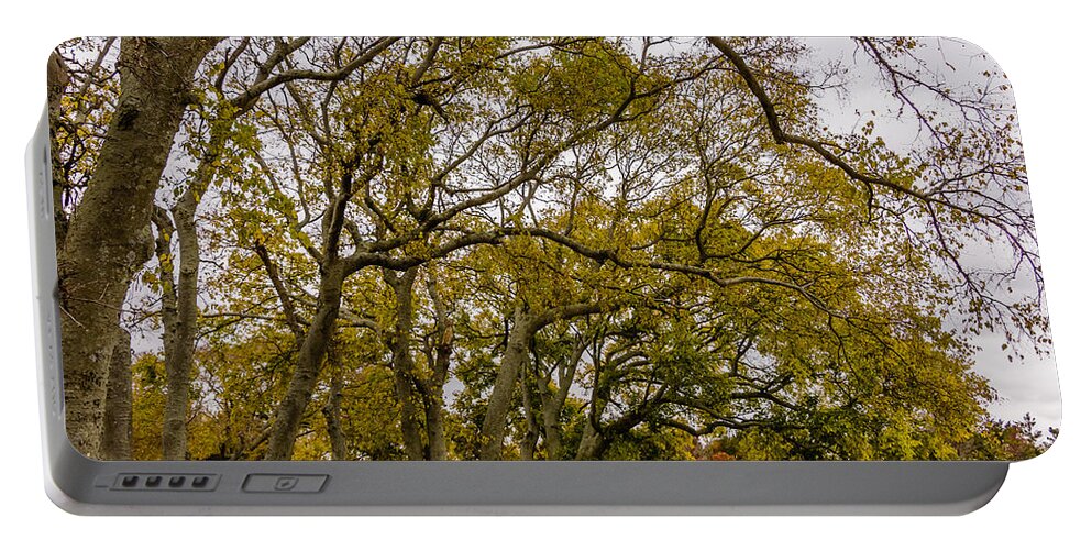 Park Portable Battery Charger featuring the photograph Fall foliage #3 by SAURAVphoto Online Store
