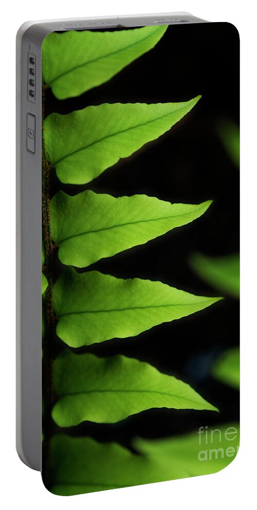 Bellevue Portable Battery Charger featuring the photograph Fern Close-Up #3 by Jim Corwin