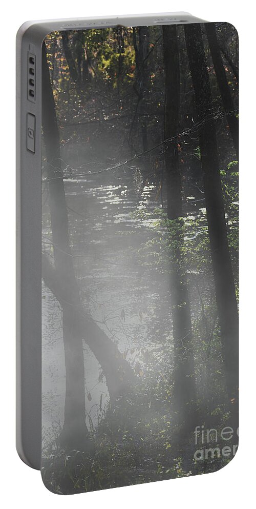 Scenic Tours Portable Battery Charger featuring the photograph Forest Primeval #3 by Skip Willits