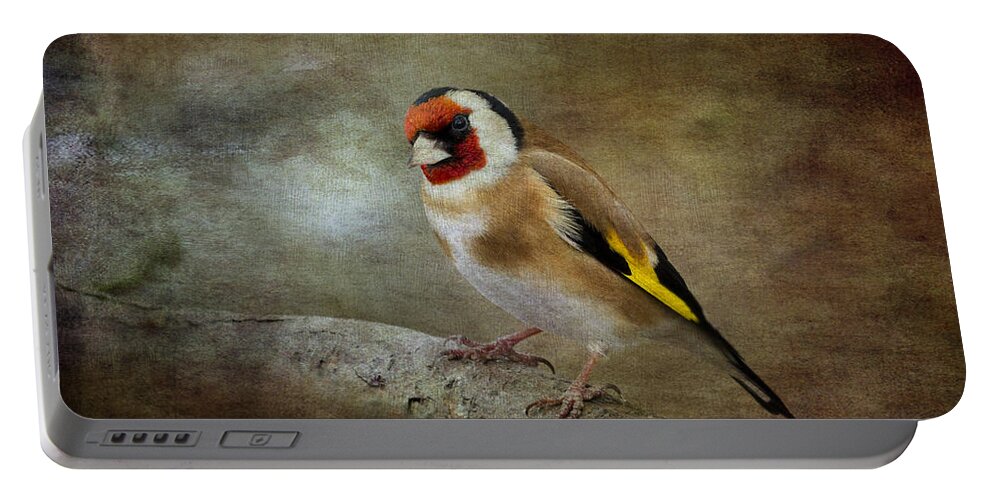Goldfinch Portable Battery Charger featuring the photograph Goldfinch #3 by Chris Smith