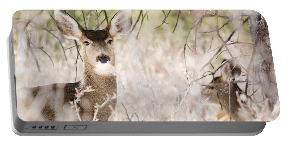 Deer Portable Battery Charger featuring the photograph Herd of Mule Deer in Deep Snow #3 by Steven Krull