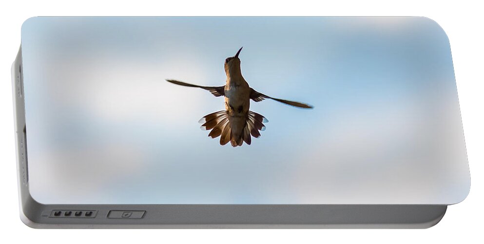 Hummingbird Portable Battery Charger featuring the photograph Hummingbird by Holden The Moment