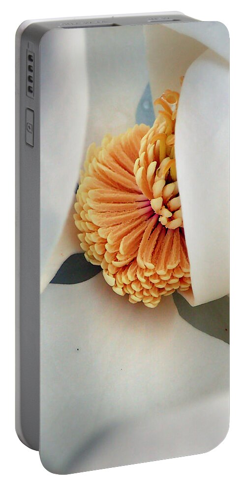 Magnolia Portable Battery Charger featuring the photograph Magnolia Blossom by Farol Tomson