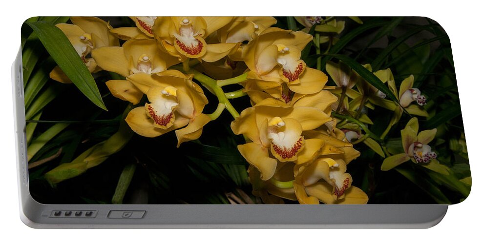 Orchids Portable Battery Charger featuring the digital art Orchids #3 by Carol Ailles