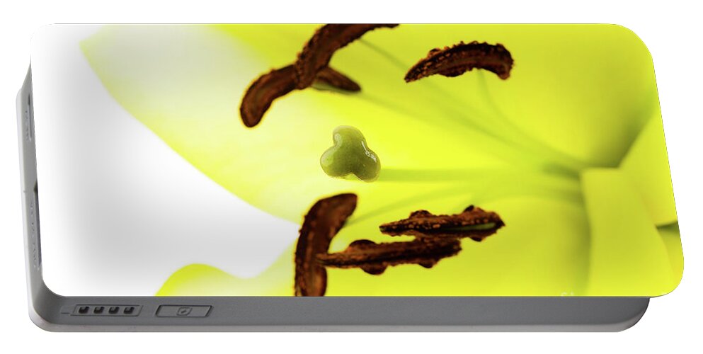 Abstract Portable Battery Charger featuring the photograph Oriental Lily Flower by Raul Rodriguez