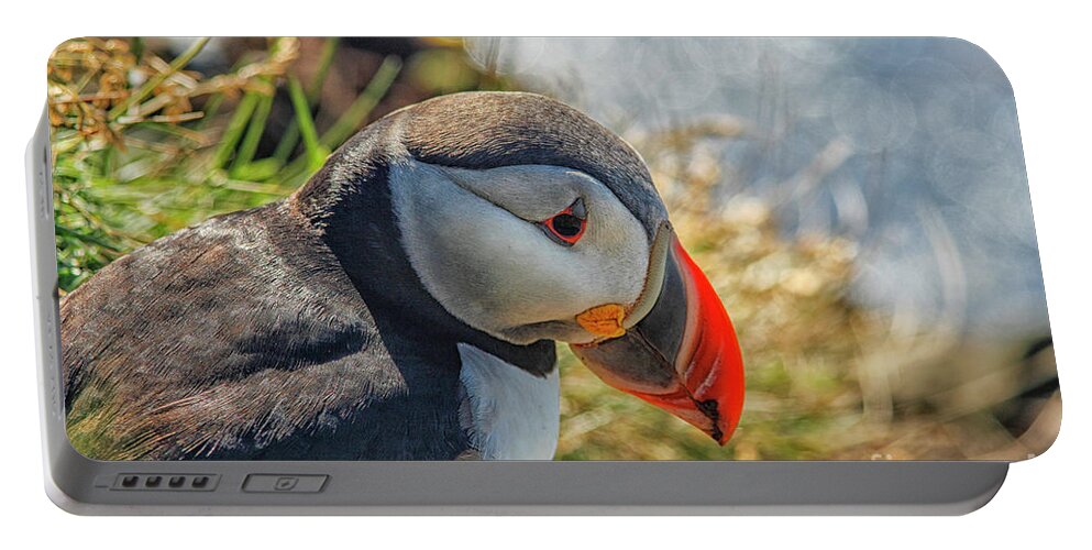 Atlantic Portable Battery Charger featuring the photograph Puffin by Patricia Hofmeester