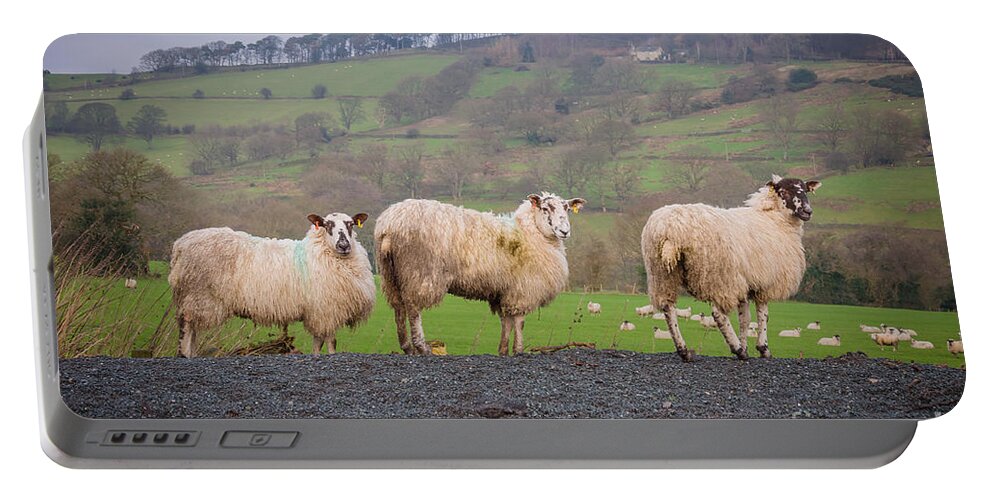 Blubberhouses Portable Battery Charger featuring the photograph Sheep by Mariusz Talarek
