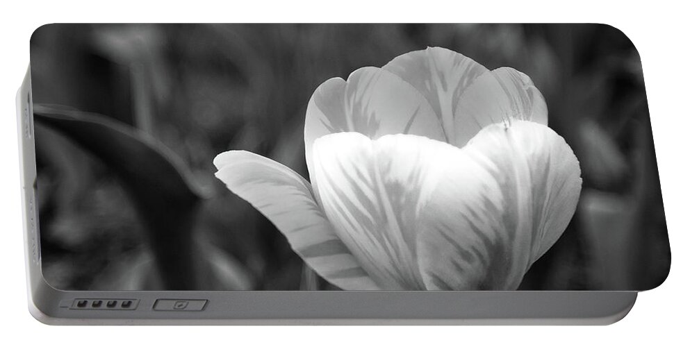 Art Portable Battery Charger featuring the photograph Spring Tulip #3 by Ron Pate