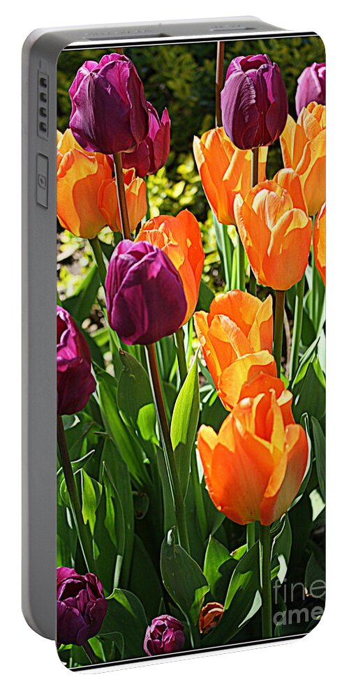 Tulips Portable Battery Charger featuring the photograph The Tulip Garden #1 by Dora Sofia Caputo