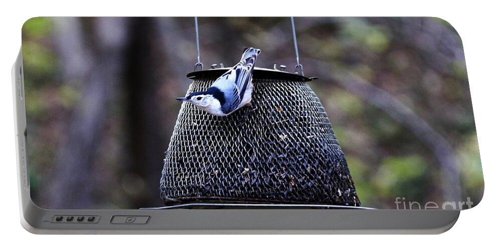 White Breasted Nuthatch Portable Battery Charger featuring the photograph White breasted Nuthatch #3 by Yumi Johnson