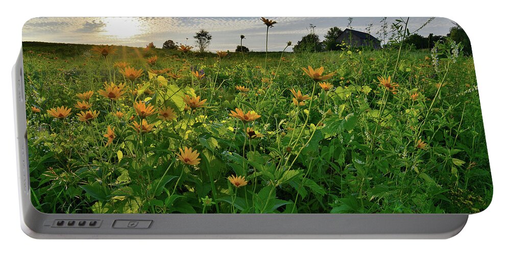 Glacial Park Portable Battery Charger featuring the photograph Wildflowers of Glacial Park #3 by Ray Mathis