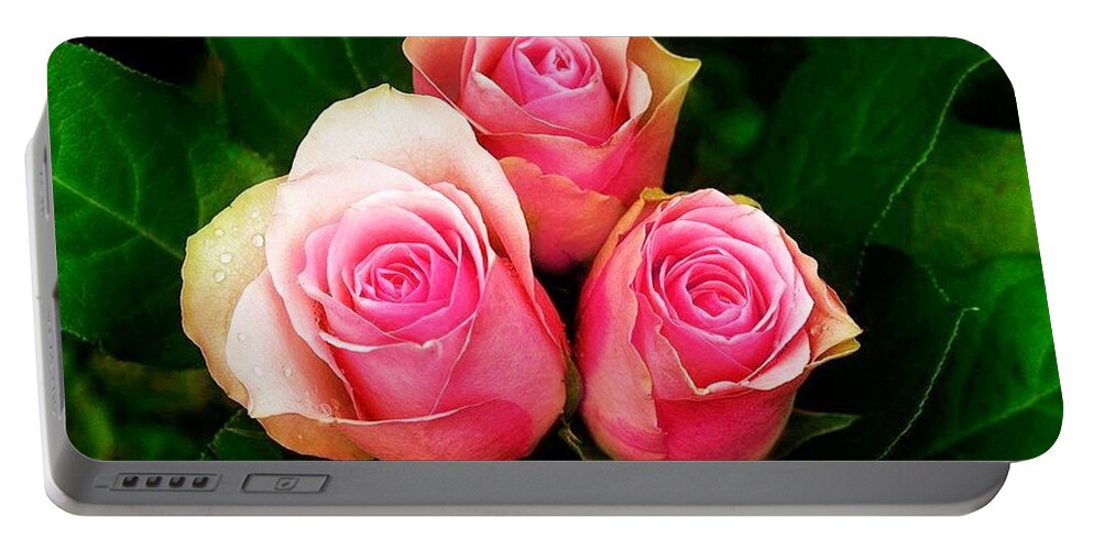 Rose Portable Battery Charger featuring the photograph Rose #32 by Jackie Russo