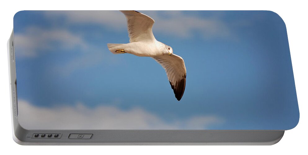 Seagull Portable Battery Charger featuring the photograph 36- Seagull by Joseph Keane